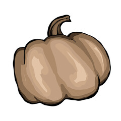 Brown pumpkin isolated clip art. Autumn harvest pumpkin. Healthy organic food concept, element on isolated white background, hand drawing