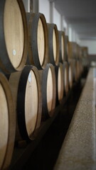 Several rows of brown barrels in which wine is made at a Portuguese winery