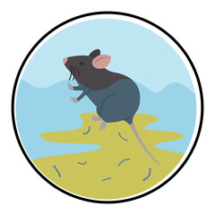 leptospirosis infection disease from leptospira bacteria in rat urine