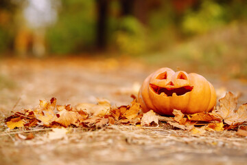 A carved pumpkin sits among colorful autumn leaves on a peaceful pathway in a wooded area during the fall season. Holidays, decoration concept.