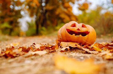 A carved pumpkin sits among colorful autumn leaves on a peaceful pathway in a wooded area during...