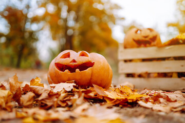 A carved pumpkin sits among colorful autumn leaves on a peaceful pathway in a wooded area during...