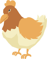 Chicken graphic illustration