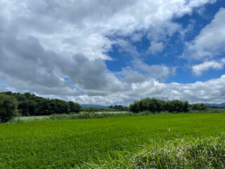 natural nature 
Huge cloud and land