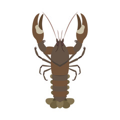 ウチダザリガニ。フラットなベクターイラスト。
Signal crayfish. Flat vector illustration.