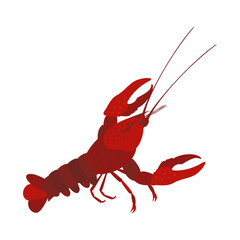 アメリカザリガニ。フラットなベクターイラスト。
Red swamp crayfish (Louisiana crawfish ,mudbug). Flat vector illustration.