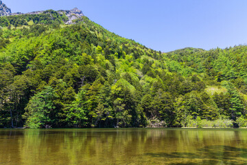 日本の風景・初夏　長野　新緑の上高地　明神池