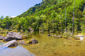 日本の風景・初夏　長野　新緑の上高地　明神池