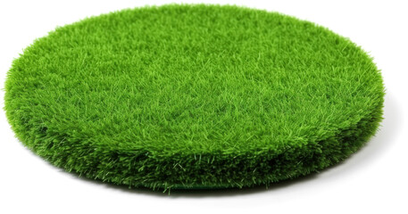 Lush green grass texture