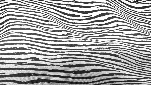 Zebra Stripe Black and White Fabric Wave