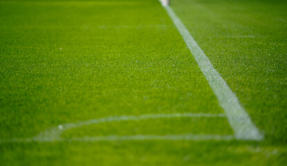 grass. the point where the corner kick is executed in football.