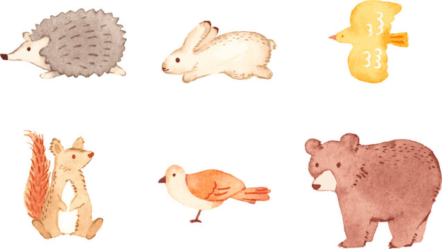 森の動物セット　水彩イラスト