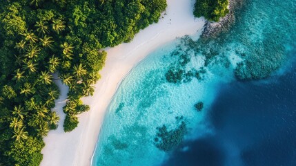 Aerial shot of a Maldives resort island with a natural lagoon, surrounded by coconut palms and white sandy shores.