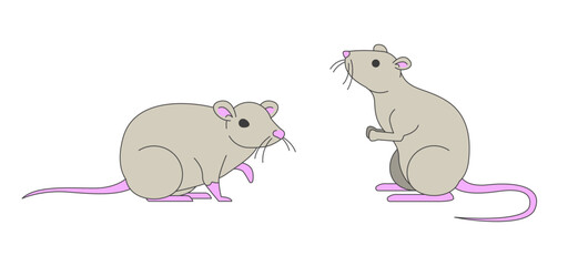 Couple of cute domesticated rats 2D cartoon characters. Adorable small animals asking for food. Funny rodent pets isolated personages flat vector on white background. Spot illustration colorful