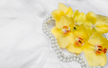 The branch of yellow orchids on white fabric background
