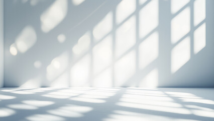 Sunlit Spots on a Pure White Wall