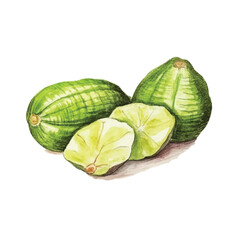 Naklejka premium watercolor of Wasabi isolated white background