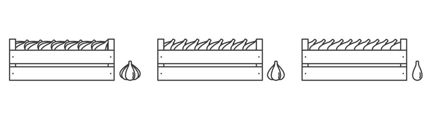 Garlic in wooden box icon outline. Vegetable in box.
