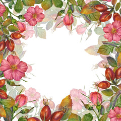 Pink Rosehip square frame template, wild rose flowers and leaves. Illustration botanical pink wild rose flowers, buds and leaves. Perfect for invitations, birthday, anniversary, mother's day.