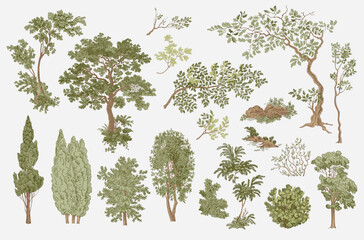Set of trees and bushes. Woodland. Landscape elements. Vector vintage illustration.