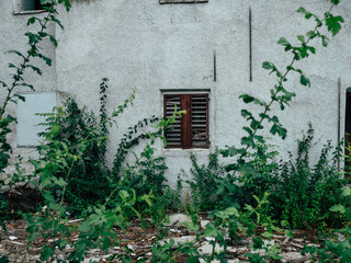 Overgrown vegetation surrounds a weathered building with a shuttered window during the afternoon in...