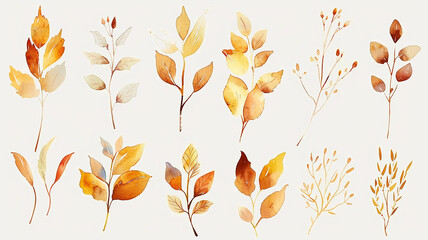 Fototapeta premium set of yellow leaves and branches, collection on a white background in watercolor style, delicate art