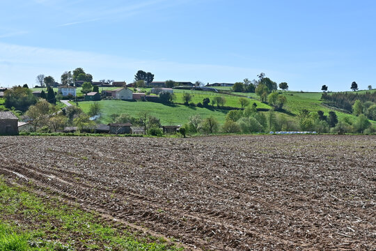 Paesaggi di Galizia, campagna colline e panorami sul cammino Primitivo di Santiago di Compostela fra Melide ed Arzua - Galizia, Spagna	