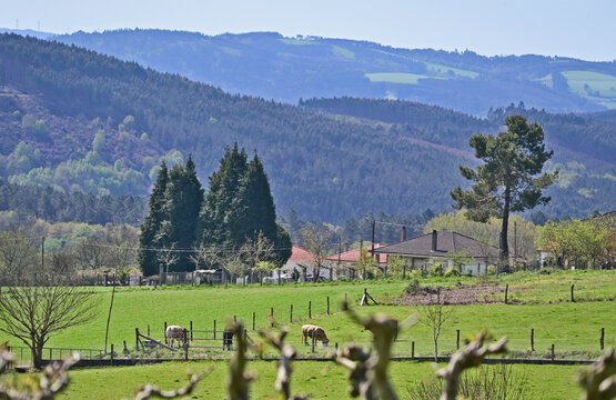 Paesaggi di Galizia, campagna colline e panorami sul cammino Primitivo di Santiago di Compostela fra Melide ed Arzua - Galizia, Spagna	