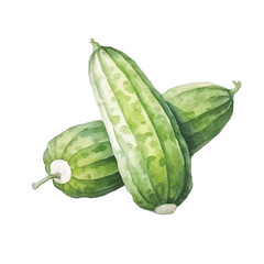Naklejka premium watercolor of Cucumber isolated white background