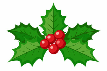 Christmas holly berry leaves vector art, Christmas leaves icon on white background