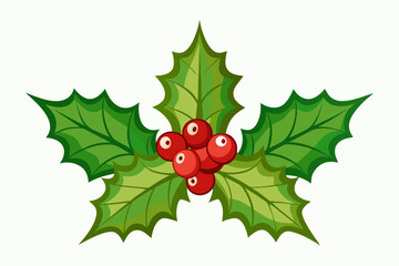 Christmas holly berry leaves vector art, Christmas leaves icon on white background