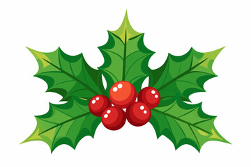 Christmas holly berry leaves vector art, Christmas leaves icon on white background