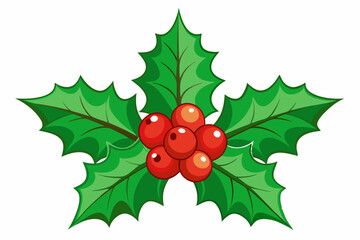 Christmas holly berry leaves vector art, Christmas leaves icon on white background