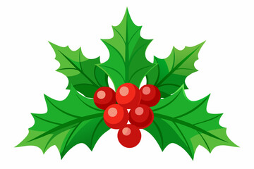 Christmas holly berry leaves vector art, Christmas leaves icon on white background