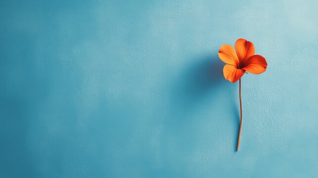 Artistic top-view image with a delicate flower on a soft pastel background, for an elegant composition featuring personalized text.