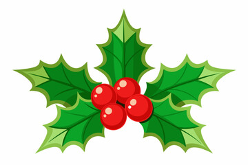 Christmas holly berry leaves vector art, Christmas leaves icon on white background