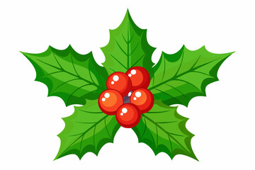 Christmas holly berry leaves vector art, Christmas leaves icon on white background