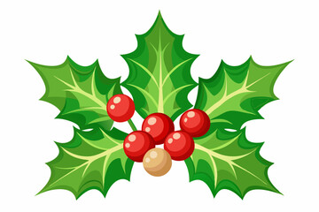 Christmas holly berry leaves vector art, Christmas leaves icon on white background