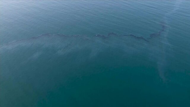 DRONE ABOVE LARGE FLOATING OIL SPILL IN THE OCEAN