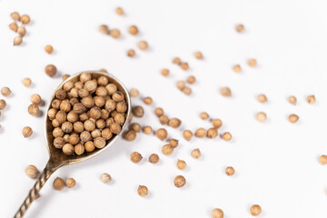 Coriander Grains in a Spoon on a White Background.