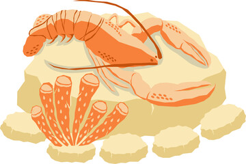 Marine world illustration