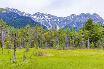 日本の風景・初夏　長野　新緑の上高地　田代湿原 © Yuta1127