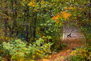 Fototapeta premium Autumn Season in the Savsat Villages Photo, Şavşat Artvin, Turkiye (Turkey)