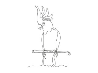 cockatoo parrot bird sitting on branch, continuous one line art hand drawing sketch, logo © YuliaBulgakova