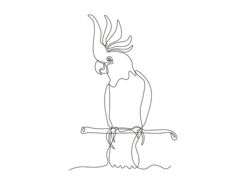 recommend clip art: cockatoo parrot bird sitting on branch, continuous one line art hand drawing sketch, logo