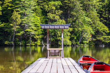 日本の風景・初夏　長野　新緑の上高地　明神池