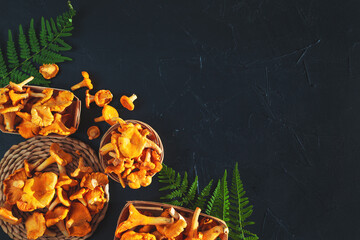 Raw fresh forest chanterelles in baskets on black slate board.