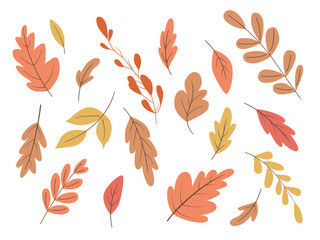 Obraz premium Collection of a flat colorful autumn leaves. Vector illustration isolated on white background