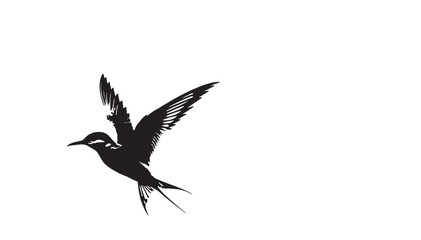 Obraz premium Marlin Bird vector art and illustration