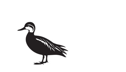 Duck vector art and illustration